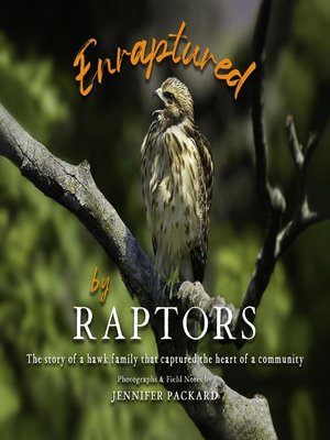 cover image of Enraptured by Raptors